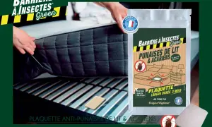 Une personne installe une plaquette anti-punaises de lit et acariens, une barrière aux insectes dangereux pour l'homme, sous un matelas.