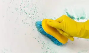 Main jaune, brosse bleue frottant une tache impossible à enlever sur une surface blanche.