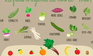Illustration colorée des fruits et légumes de saison en mai. Courgette, radis, fenouil, asperge, concombre, chou-rave, épinard, artichaut, petit-pois, patate douce, navet. Fruits : tomate, citron, fraise, pomelo, rhubarbe, banane, pomme, kiwi. Un vrai ...