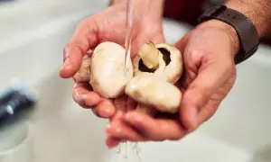 Des mains rincant des champignons de Paris sous un filet d'eau. Une étape simple pour savoir comment nettoyer les champignons de Paris avant de cuisiner.