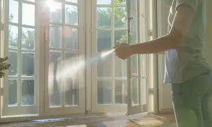 Une personne ouvre une porte-fenêtre pour aérer après avoir utilisé un insecticide. La lumière du soleil traverse les vitres.