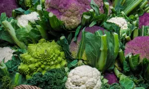 Un assortiment coloré de différents choux : violets, blancs et verts, dont un chou romanesco aux formes géométriques fascinantes.