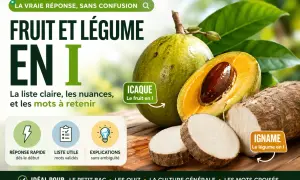 Icaque, fruit en I, et igname, légume en I. Apprenez les nuances et les mots à retenir.