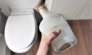 Main tenant une bouteille en verre remplie d'un produit wc maison, prêt à nettoyer la cuvette blanche.