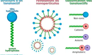 Structure d'un tensioactif, revêtement de nanoparticules et classification des tensioactifs, dont l'agent de surface non ionique.