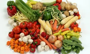 Un assortiment coloré de légumes frais : tomates, poivrons, carottes, maïs, oignons, champignons, ail, haricots verts et jaunes, et un chou. Un vrai festin de légume en b.