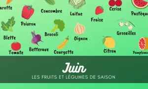 Illustration colorée des fruits et légumes de saison de juin : carotte, poivron, concombre, laitue, fraise, cerise, pastèque, etc.