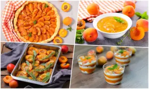 Délicieuses idées pour savoir que faire avec des abricots : tarte, compote, fruits rôtis et verrines gourmandes.