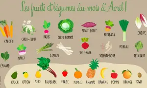 Illustration des fruits et légumes d'avril : carottes, chou-fleur, radis, asperges, poireau, endive, avocat, citron, poire, rhubarbe, fraise, ananas, banane, pomme, orange, kiwi.