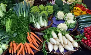 Un étalage coloré de légumes frais : carottes, radis, choux-fleurs, poireaux, courgettes, brocolis et poivrons. Un vrai festin de fruit et légume en t!