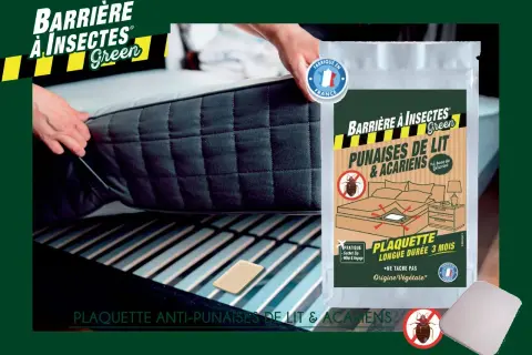 Une personne installe une plaquette anti-punaises de lit et acariens, une barrière aux insectes dangereux pour l'homme, sous un matelas.