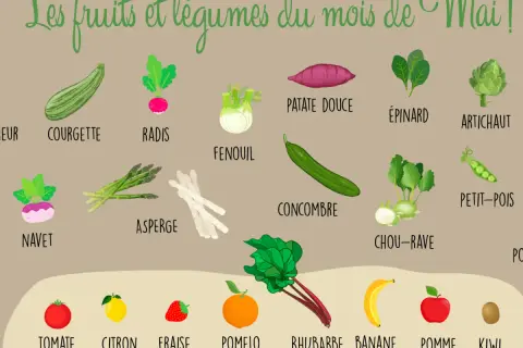 Illustration colorée des fruits et légumes de saison en mai. Courgette, radis, fenouil, asperge, concombre, chou-rave, épinard, artichaut, petit-pois, patate douce, navet. Fruits : tomate, citron, fraise, pomelo, rhubarbe, banane, pomme, kiwi. Un vrai ...