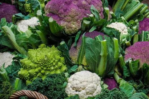 Un assortiment coloré de différents choux : violets, blancs et verts, dont un chou romanesco aux formes géométriques fascinantes.