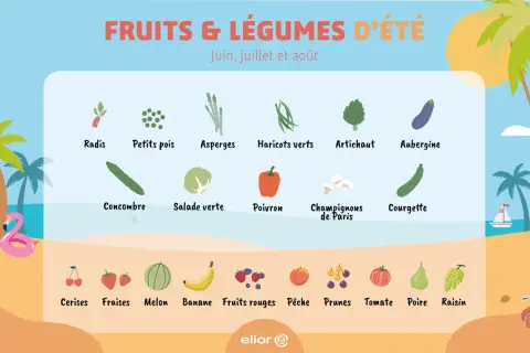 Illustration des fruits et légumes d'été : radis, petits pois, asperges, haricots verts, artichaut, aubergine, concombre, salade, poivron, champignons, courgette, cerises, fraises, melon, banane, fruits rouges, pêche, prunes, tomate, poire, raisin.