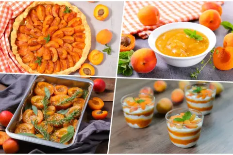 Délicieuses idées pour savoir que faire avec des abricots : tarte, compote, fruits rôtis et verrines gourmandes.