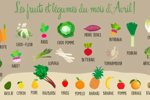 Illustration des fruits et légumes d'avril : carottes, chou-fleur, radis, asperges, poireau, endive, avocat, citron, poire, rhubarbe, fraise, ananas, banane, pomme, orange, kiwi.