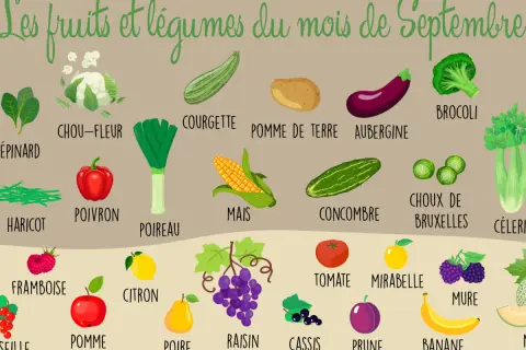 Illustration des fruits et légumes de saison en septembre : brocoli, courgette, chou-fleur, aubergine, poireau, maïs, concombre, choux de Bruxelles, tomate, mirabelle, framboise, citron, pomme, poire, raisin, mûre, prune, banane.
