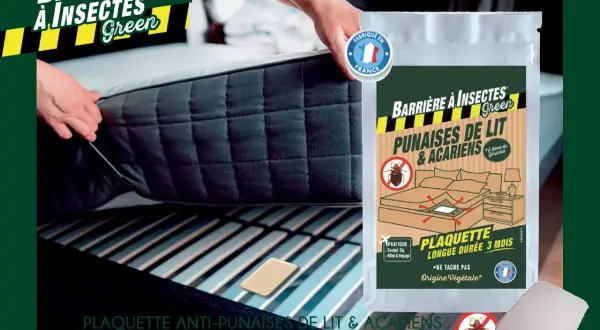 Une personne installe une plaquette anti-punaises de lit et acariens, une barrière aux insectes dangereux pour l'homme, sous un matelas.