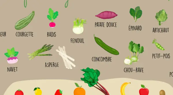 Illustration colorée des fruits et légumes de saison en mai. Courgette, radis, fenouil, asperge, concombre, chou-rave, épinard, artichaut, petit-pois, patate douce, navet. Fruits : tomate, citron, fraise, pomelo, rhubarbe, banane, pomme, kiwi. Un vrai ...