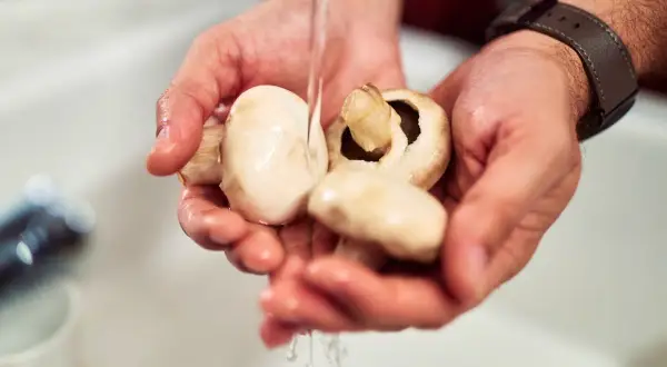 Des mains rincant des champignons de Paris sous un filet d'eau. Une étape simple pour savoir comment nettoyer les champignons de Paris avant de cuisiner.