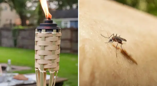 Torche allumée pour éloigner les moustiques, et un moustique sur la peau. Que faire contre les moustiques ?