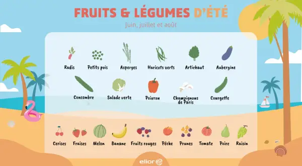 Illustration des fruits et légumes d'été : radis, petits pois, asperges, haricots verts, artichaut, aubergine, concombre, salade, poivron, champignons, courgette, cerises, fraises, melon, banane, fruits rouges, pêche, prunes, tomate, poire, raisin.