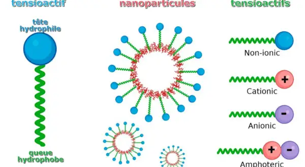 Structure d'un tensioactif, revêtement de nanoparticules et classification des tensioactifs, dont l'agent de surface non ionique.