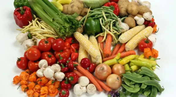 Un assortiment coloré de légumes frais : tomates, poivrons, carottes, maïs, oignons, champignons, ail, haricots verts et jaunes, et un chou. Un vrai festin de légume en b.