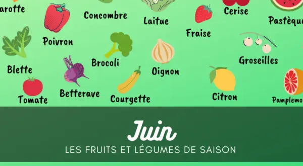 Illustration colorée des fruits et légumes de saison de juin : carotte, poivron, concombre, laitue, fraise, cerise, pastèque, etc.