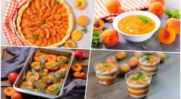 Délicieuses idées pour savoir que faire avec des abricots : tarte, compote, fruits rôtis et verrines gourmandes.