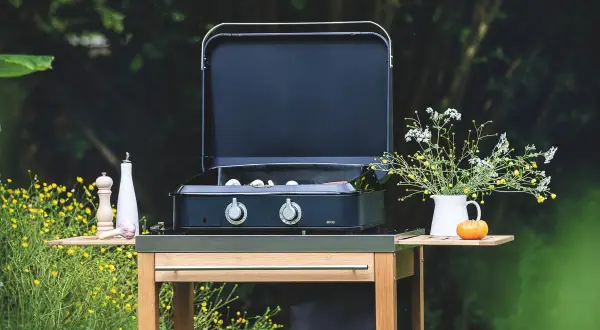 Plancha ou barbecue prêt pour un repas en plein air, avec des ingrédients sur le côté et un bouquet de fleurs sauvages.