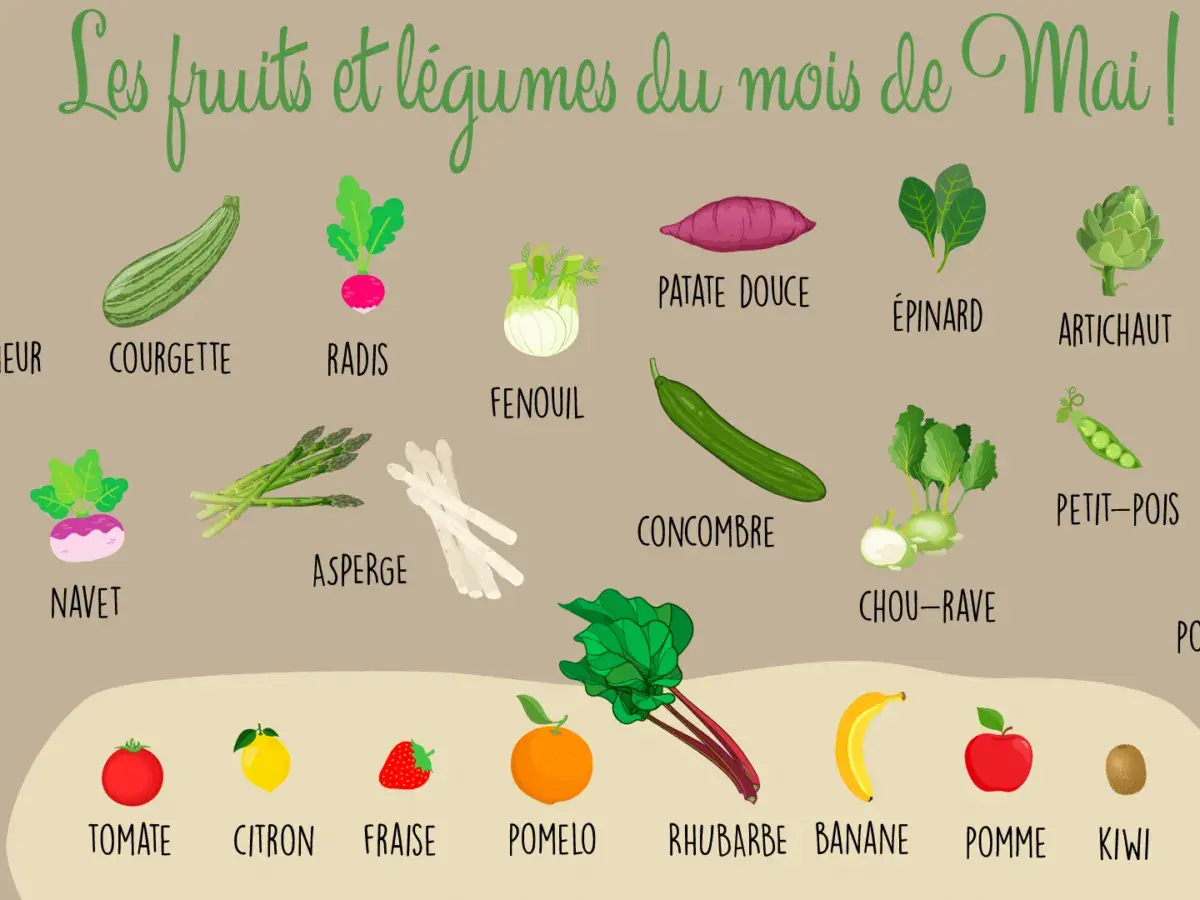 Illustration colorée des fruits et légumes de saison en mai. Courgette, radis, fenouil, asperge, concombre, chou-rave, épinard, artichaut, petit-pois, patate douce, navet. Fruits : tomate, citron, fraise, pomelo, rhubarbe, banane, pomme, kiwi. Un vrai ...