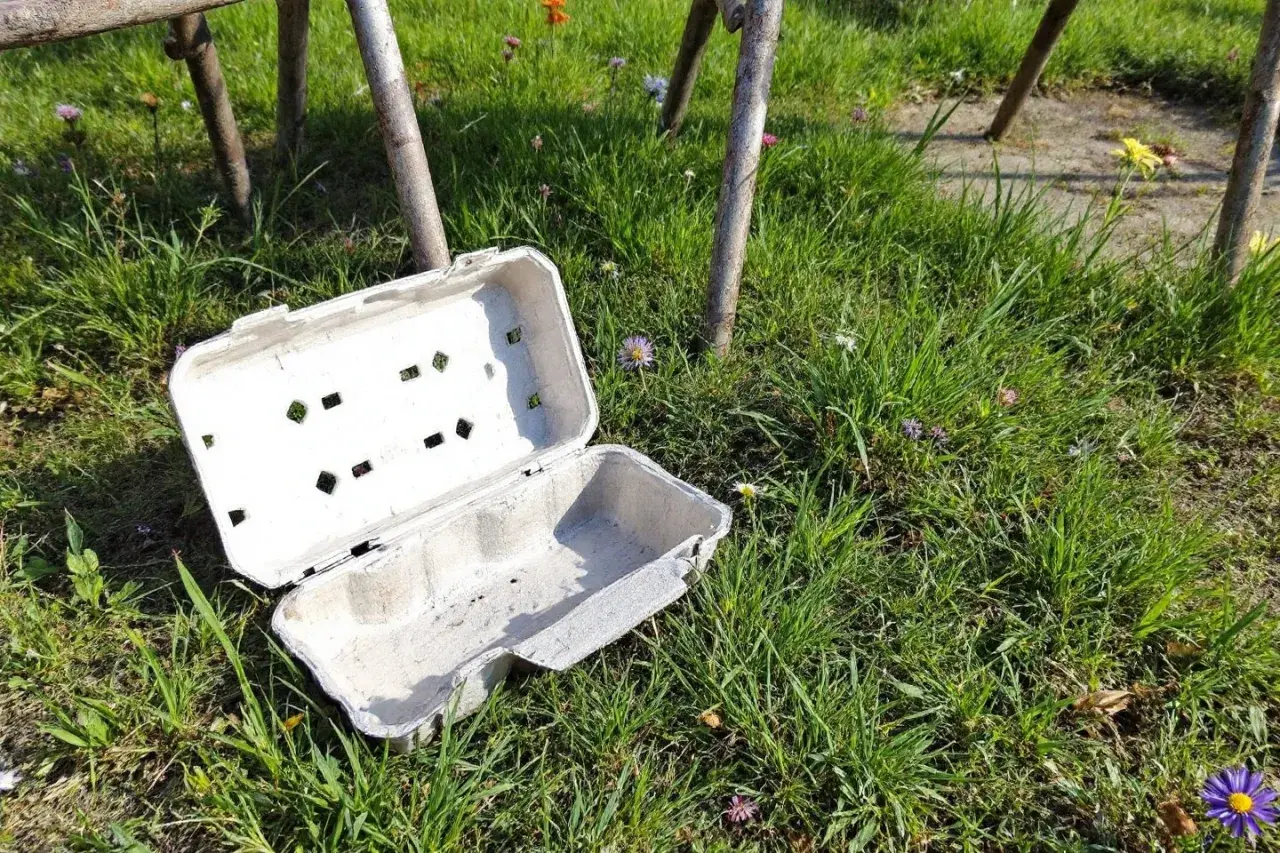 Un carton d'œufs ouvert, posé sur l'herbe, sert de piège à limaces fait maison. Des petites fleurs parsèment la pelouse.
