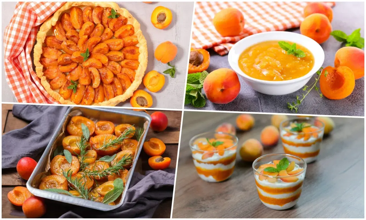 Délicieuses idées pour savoir que faire avec des abricots : tarte, compote, fruits rôtis et verrines gourmandes.