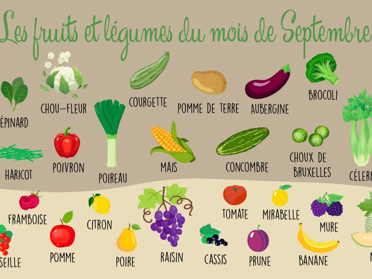 Illustration des fruits et légumes de saison en septembre : brocoli, courgette, chou-fleur, aubergine, poireau, maïs, concombre, choux de Bruxelles, tomate, mirabelle, framboise, citron, pomme, poire, raisin, mûre, prune, banane.