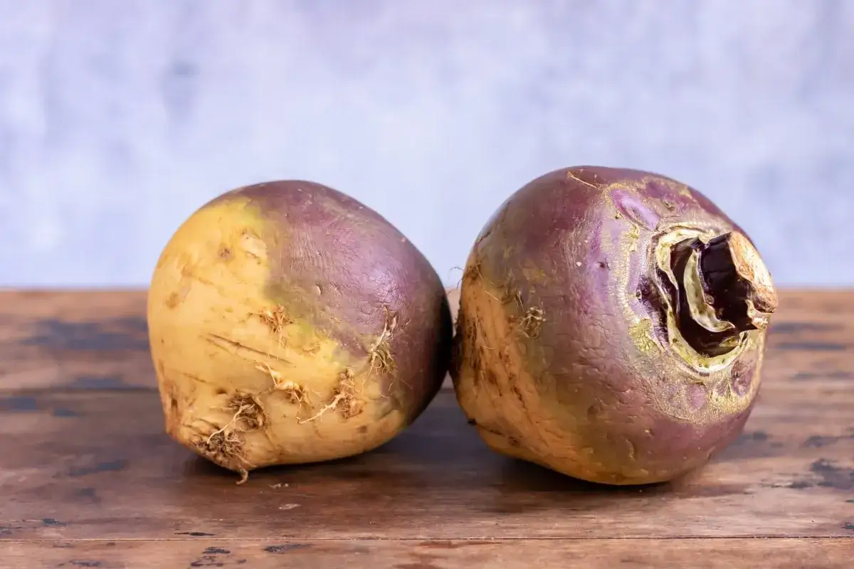 Deux navets, un l&eacute;gume en n, reposent sur une table en bois. Leurs peaux sont un m&eacute;lange de jaune et de violet.