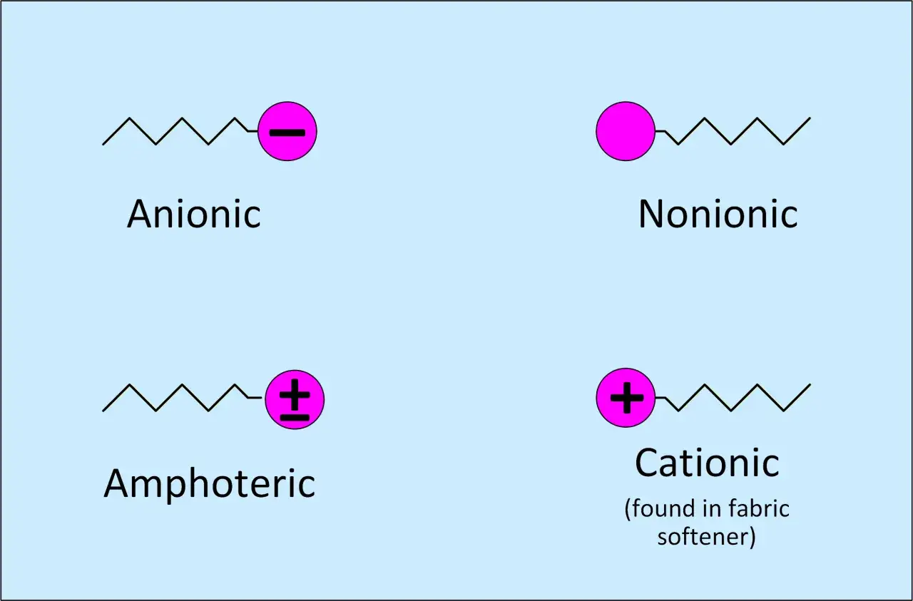 Représentation de quatre types de molécules : anionique, non ionique, amphoterique et cationique. L'agent de surface non ionique n'a pas de charge.