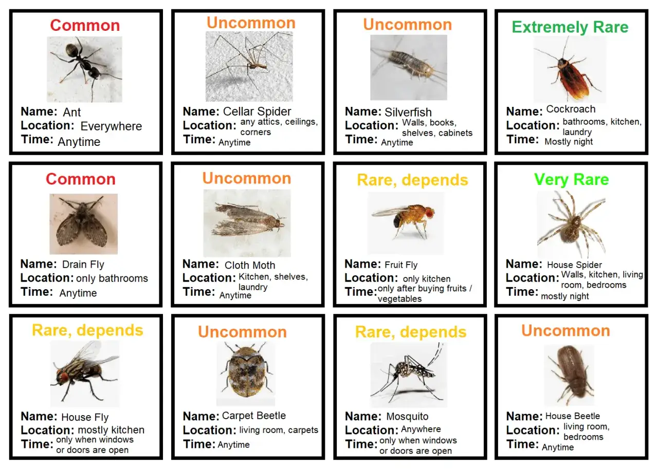 Tableau des insectes communs et rares dans une maison, avec leur signification. Fourmis, mouches, araign&eacute;es, cafards, etc.