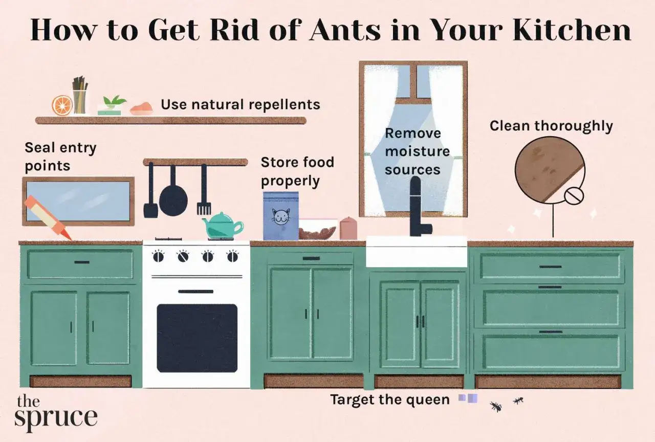 Conseils pour savoir comment se d&eacute;barrasser des fourmis : sceller les points d'entr&eacute;e, utiliser des r&eacute;pulsifs naturels, stocker la nourriture, &eacute;liminer l'humidit&eacute; et nettoyer.