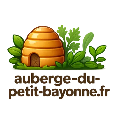 Logo auberge-du-petit-bayonne.fr