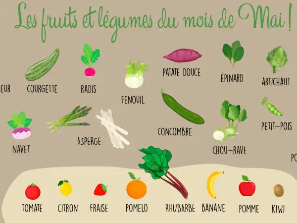 Illustration colorée des fruits et légumes de saison en mai. Courgette, radis, fenouil, asperge, concombre, chou-rave, épinard, artichaut, petit-pois, patate douce, navet. Fruits : tomate, citron, fraise, pomelo, rhubarbe, banane, pomme, kiwi. Un vrai ...