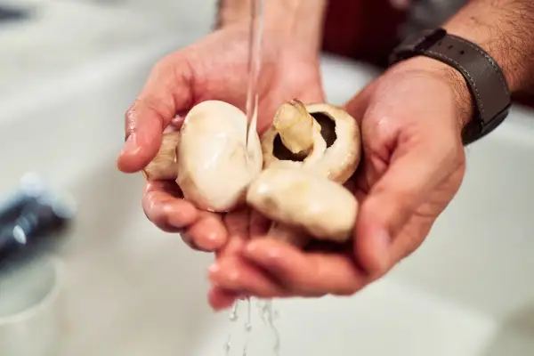 Des mains rincant des champignons de Paris sous un filet d'eau. Une étape simple pour savoir comment nettoyer les champignons de Paris avant de cuisiner.