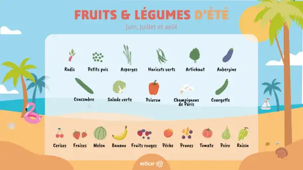 Illustration des fruits et légumes d'été : radis, petits pois, asperges, haricots verts, artichaut, aubergine, concombre, salade, poivron, champignons, courgette, cerises, fraises, melon, banane, fruits rouges, pêche, prunes, tomate, poire, raisin.