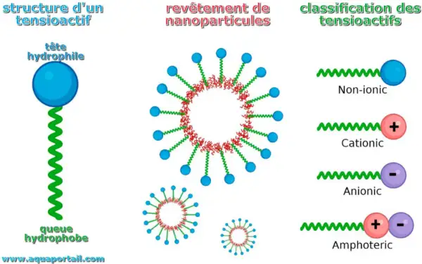 Structure d'un tensioactif, revêtement de nanoparticules et classification des tensioactifs, dont l'agent de surface non ionique.