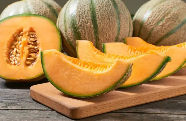 Des melons cantaloups coupés en quartiers, révélant leur chair orangée et leurs pépins. Un délice pour reconnaître un melon mur.